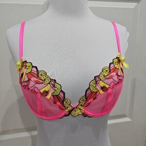 Dolls Kill Playful Promises Mesh Magda Pink Neon Cocktail Embroidery Bra S 32B